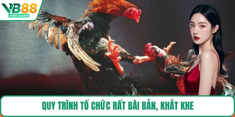 Quy trình tổ chức rất bài bản, khắt khe